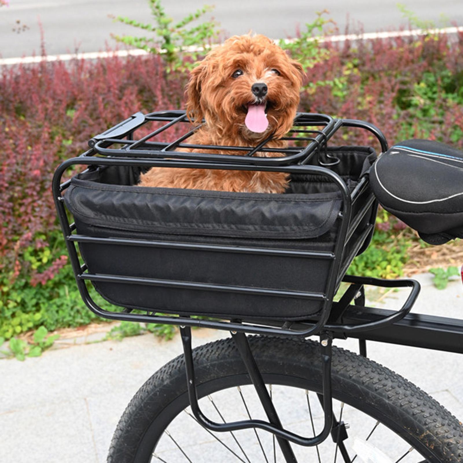 سلة دراجة كبيرة الحجم وعالية ا - مراجعة Commuting With Road Bike وسعره